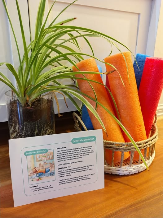 Meeting Children Where They're Currently At - The Regulate & Connect Kit