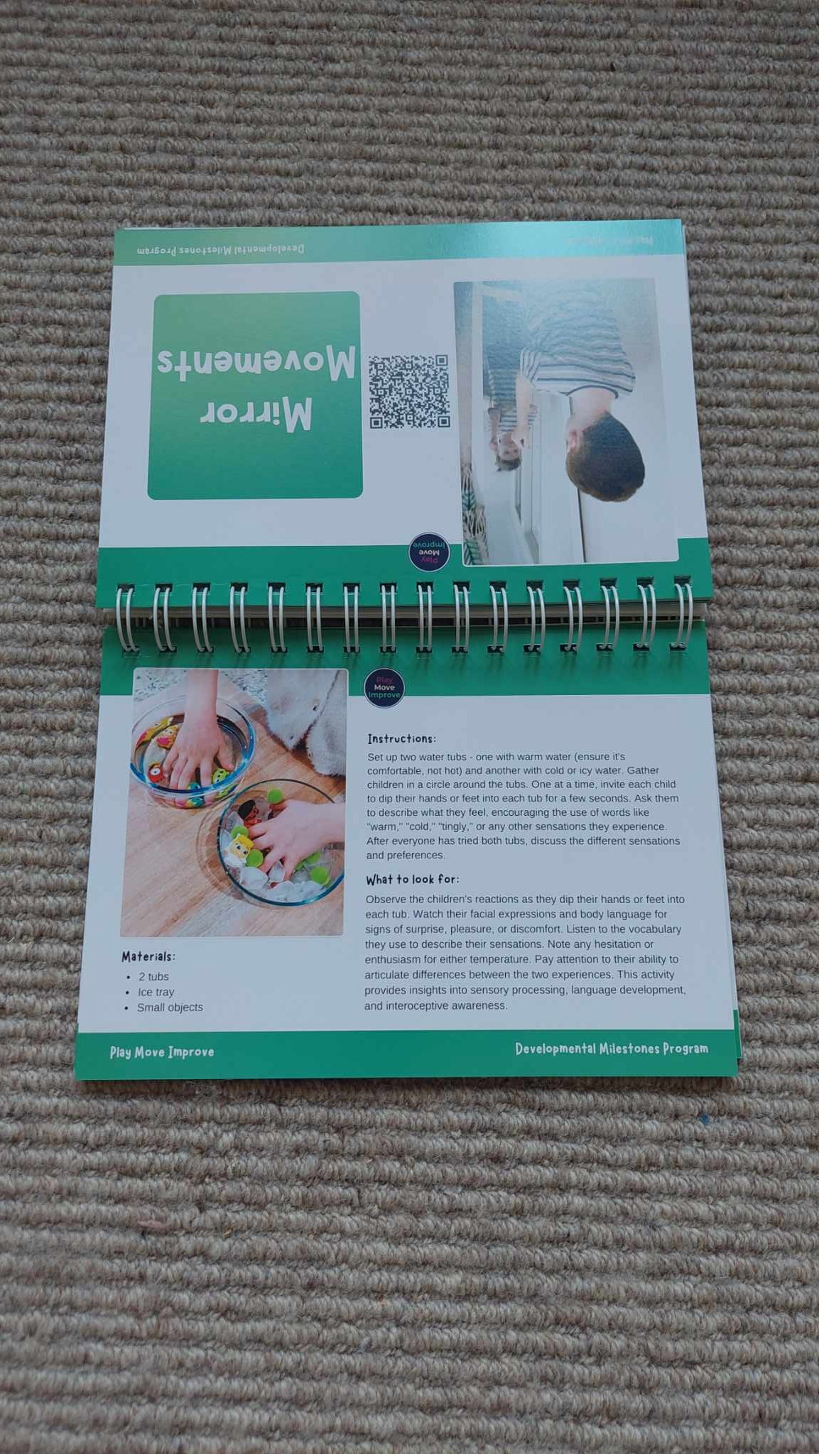 Early Childhood Activity Flip Book