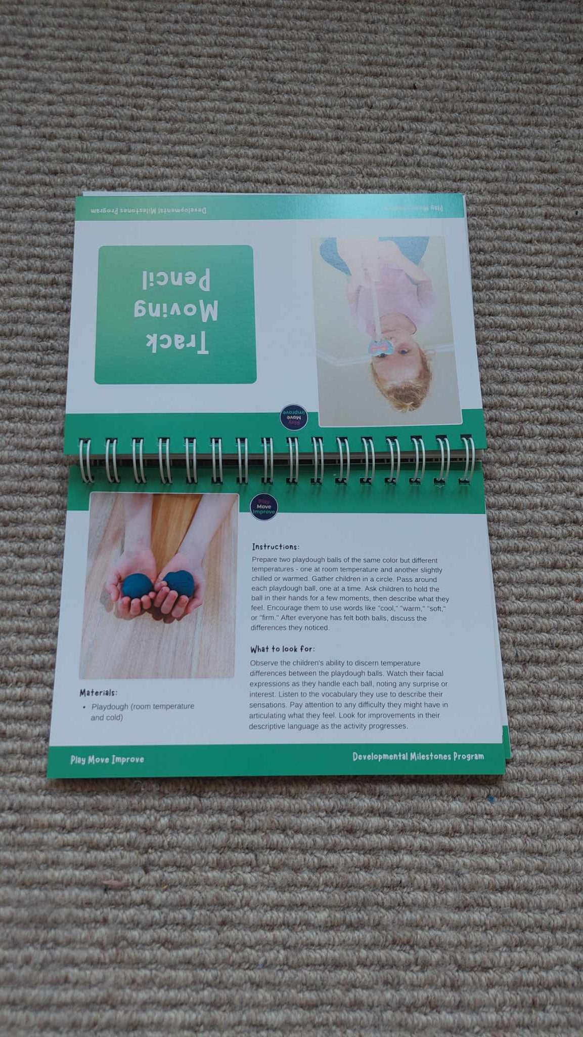 Early Childhood Activity Flip Book