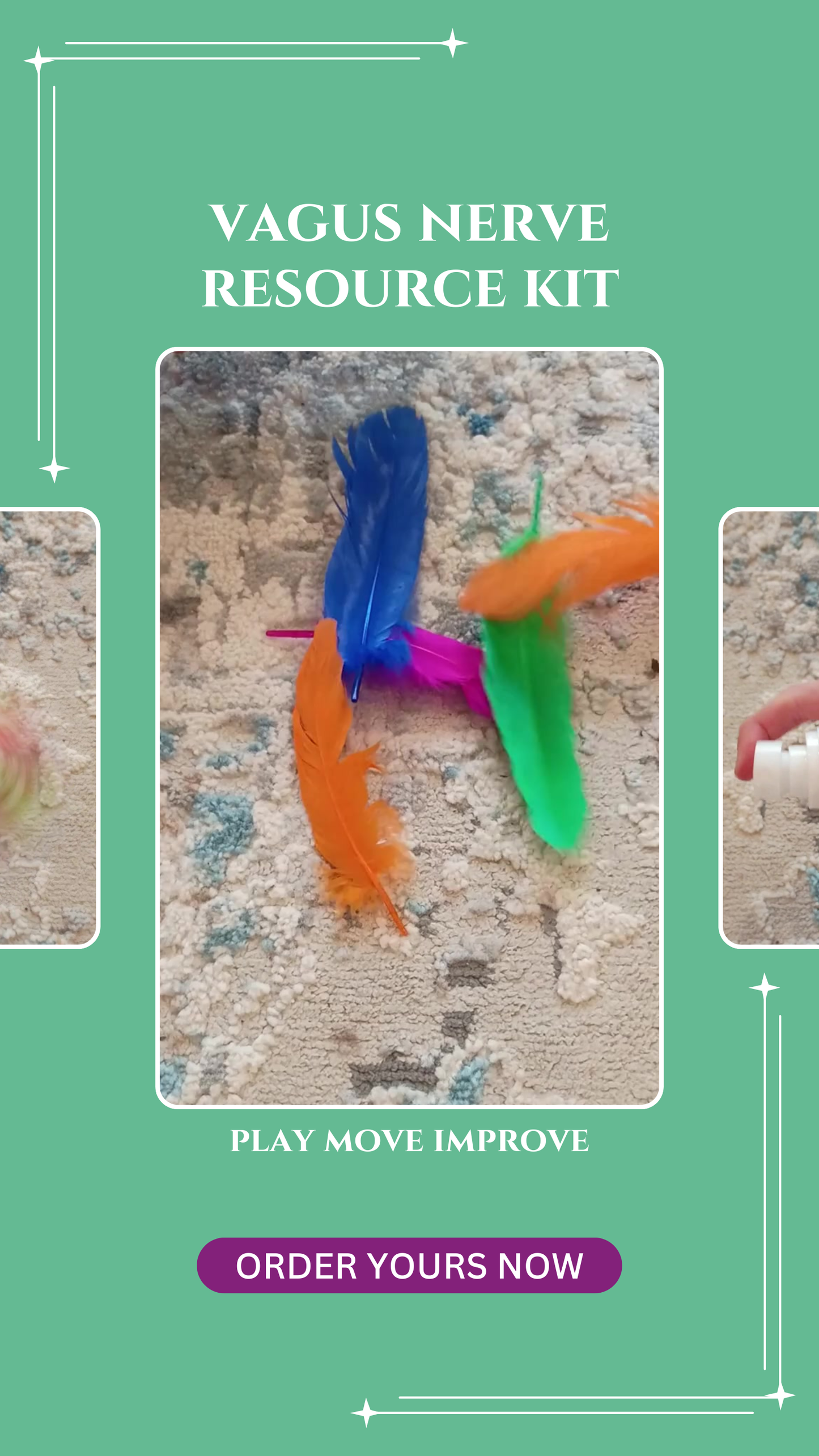 Vagus Nerve Playful Education Kit