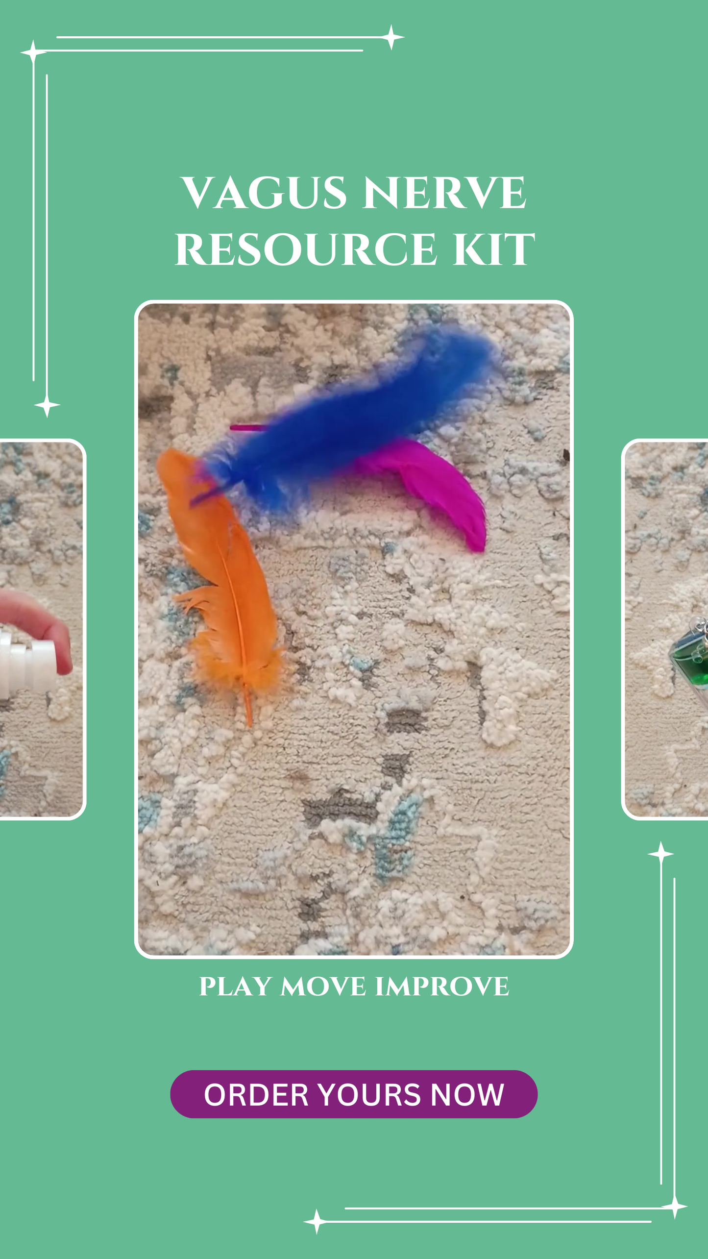 Vagus Nerve Playful Education Kit