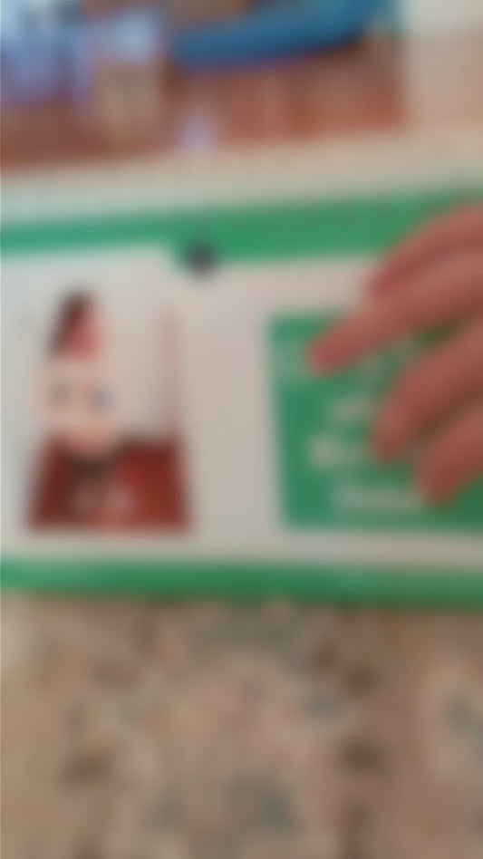 Early Childhood Activity Flip Book